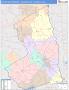 College Station-Bryan Metro Area Digital Map Color Cast Style